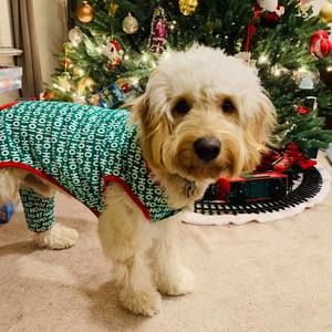 Meet your Posher, Sora